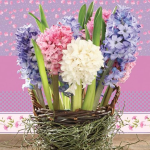 Servítky na dekupáž Hyacinths in a Basket - 1 ks